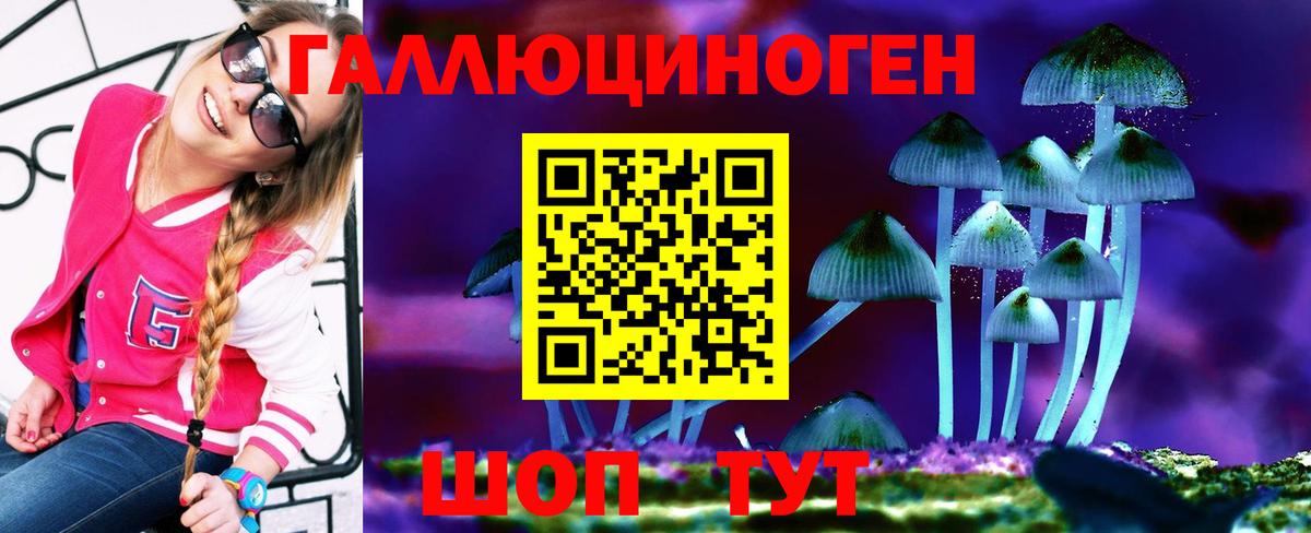 купить наркотики цена  Галлюциногенные грибы Cubensis  Вход с VPN  Кропоткин 